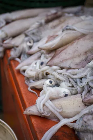 Fresh Squid, Dungun Market