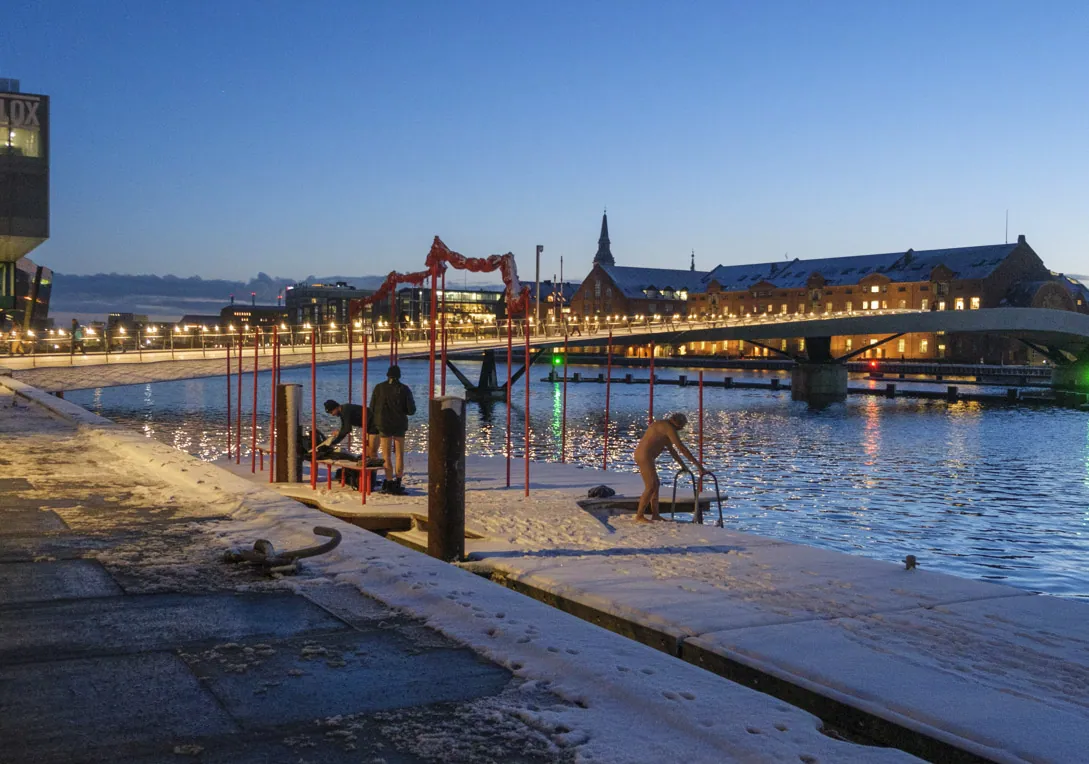 Cold Morning Plunge, Copenhagen