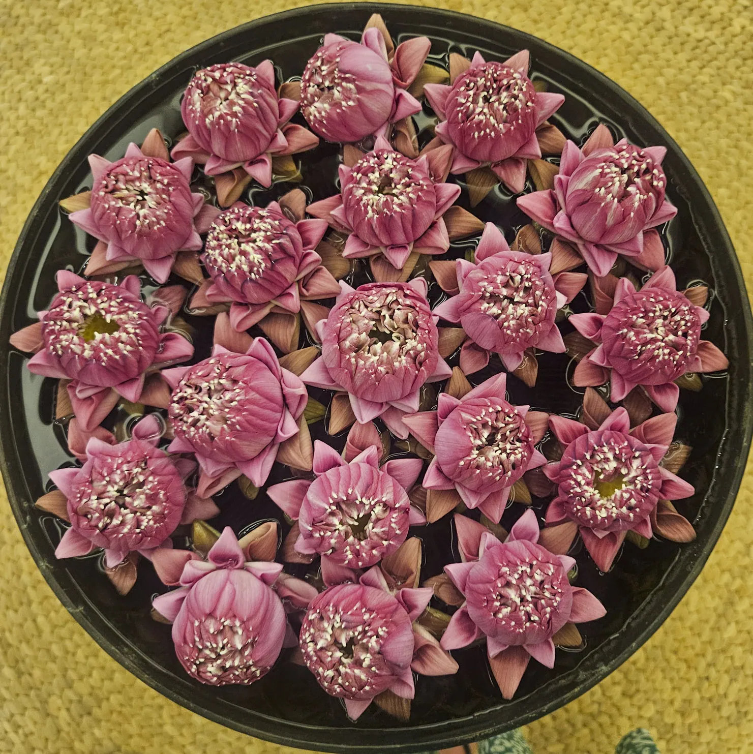 Flowers in the lobby of the Koulen Hotel, Siem Reap Cambodia