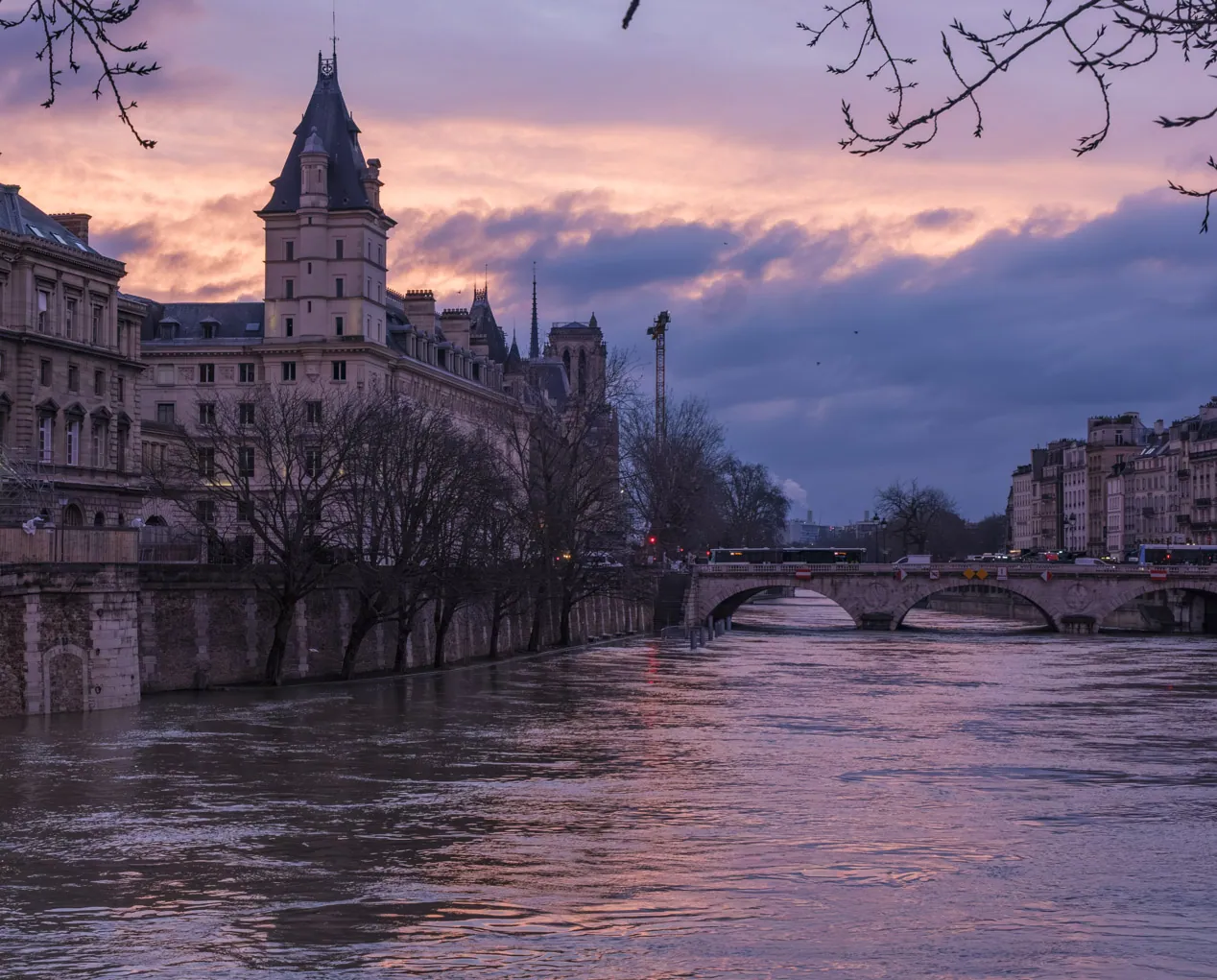 Ile de la Cite at Dawn