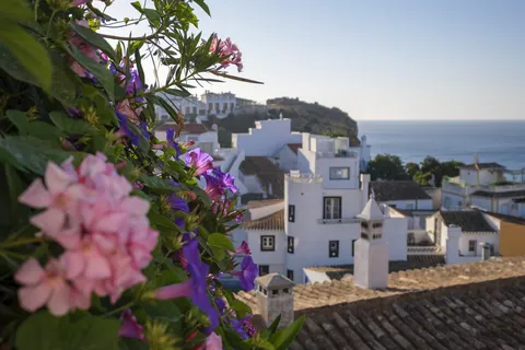 Burgau and Flowers