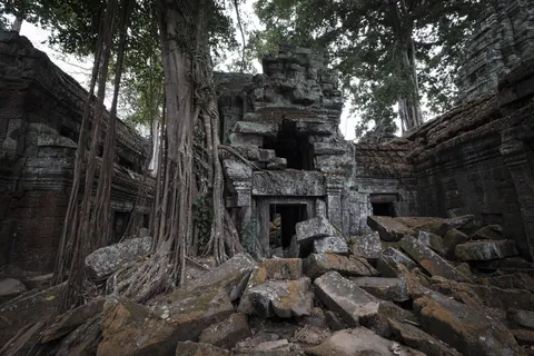 Ta Prohm Temple