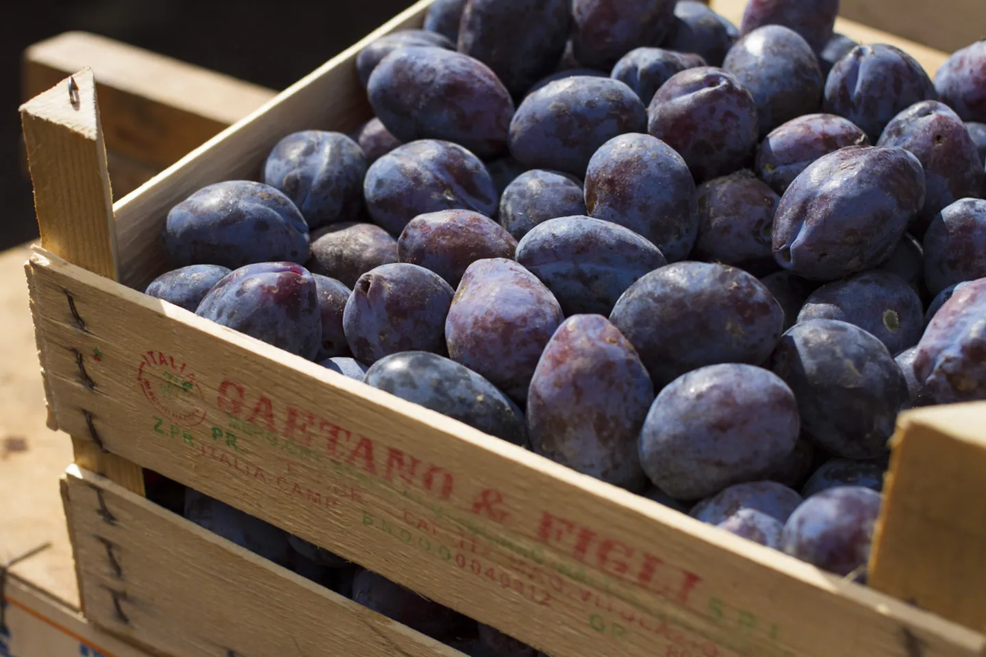 Plums, Ballaro Market, Palermo