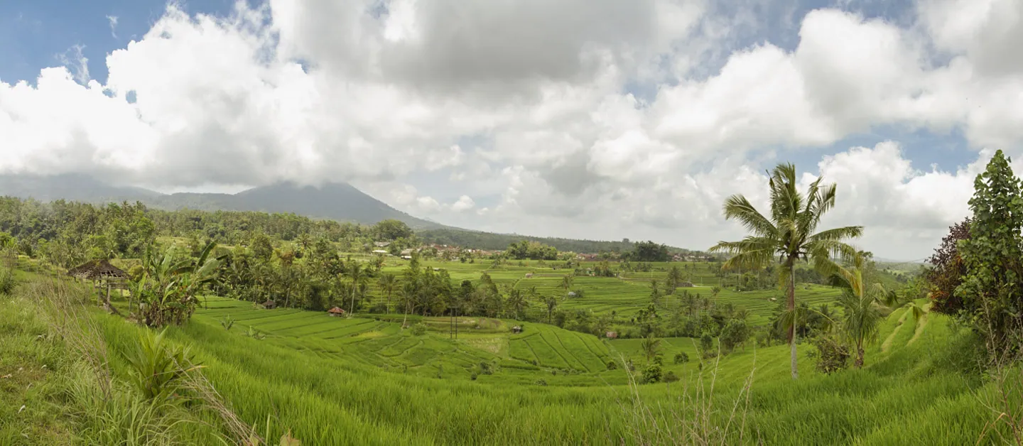 Jatuliwiyah Rice Terraces