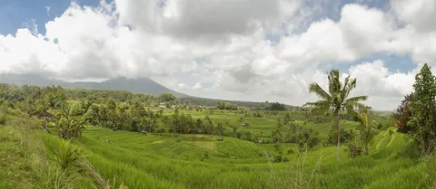 Jatuliwiyah Rice Terraces