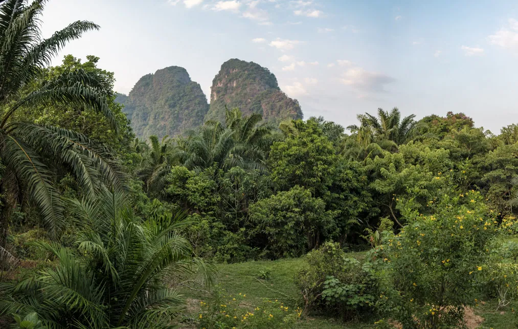 The view from our balcony @ Khaosok Goodview Resort