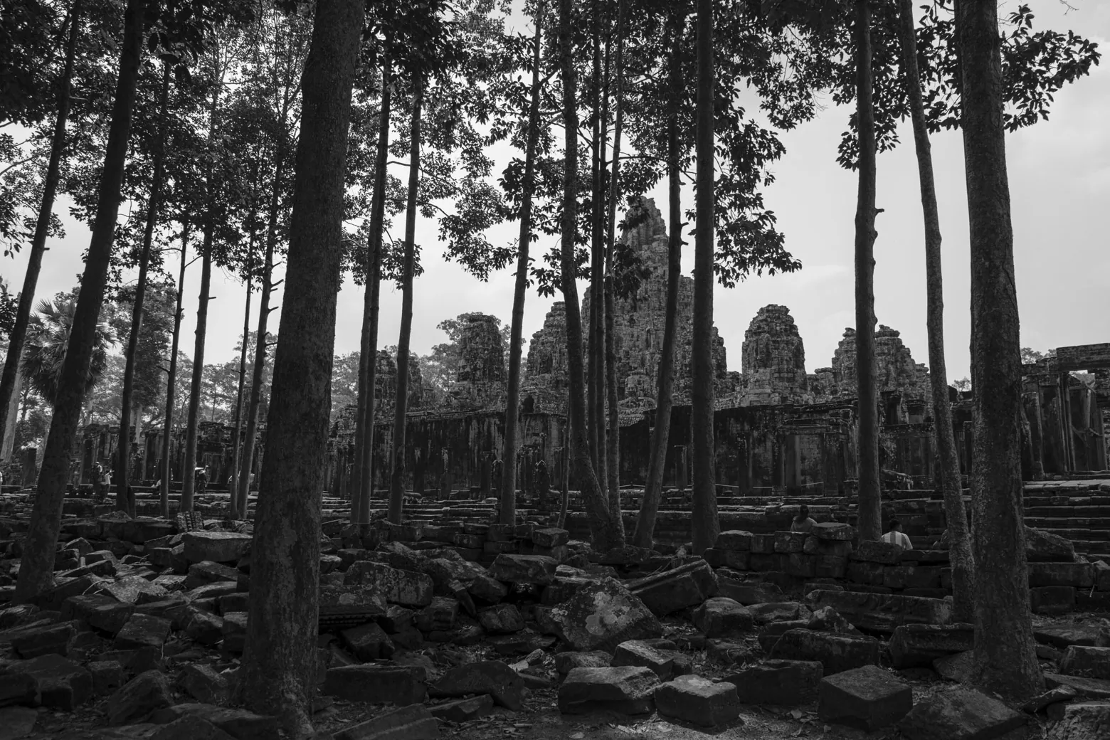 Bayon Temple through the Trees