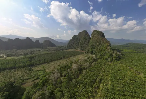 Khao Sok National Park