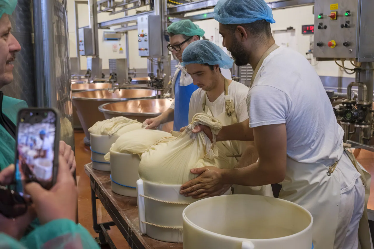 The "birth" of new wheels of Parmaggiano Reggiano, Caseifecio Bio Reggiano, Modena