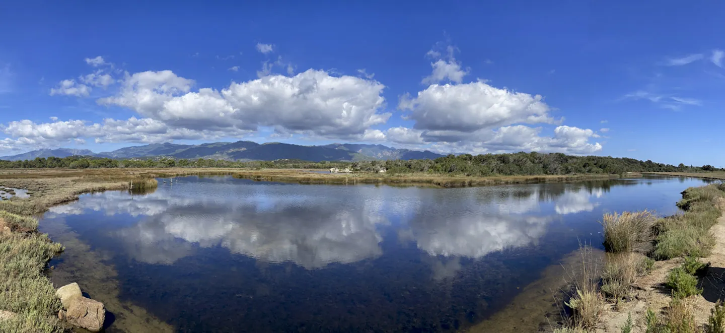 Wetlands, Cala Rossa, Corsica