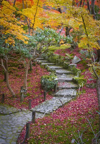 Stone Steps, Autumn Colours and Leaf Fall, Yoshikien Garden, Nara Park