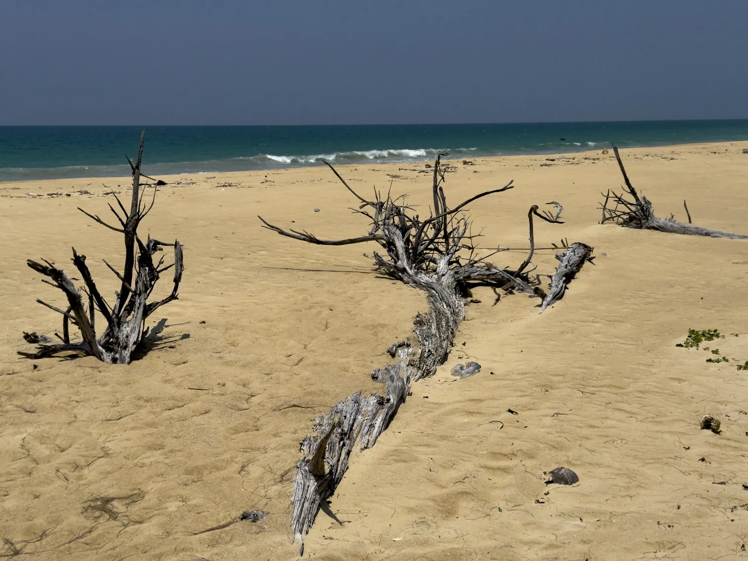 Beach skeletons, Khao Nayak Beach