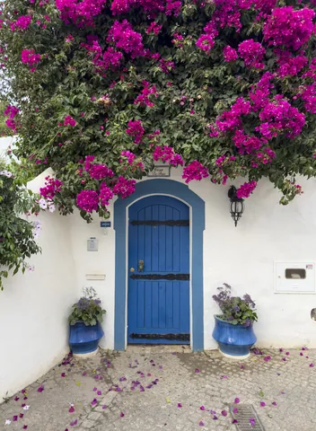 Bougainvilla and the Blue Door, Burgau