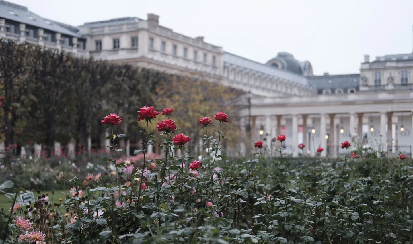 Garden of the Palais Royale