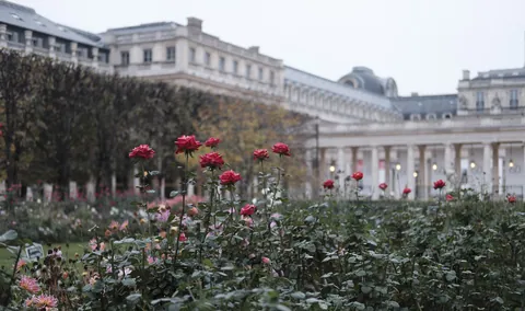 Garden of the Palais Royale