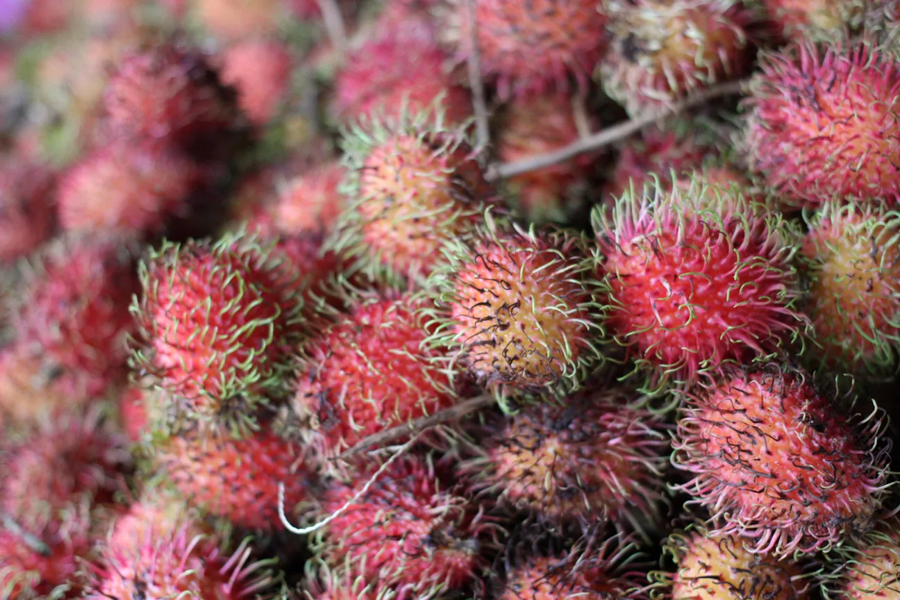Rambutans, Dungun Market