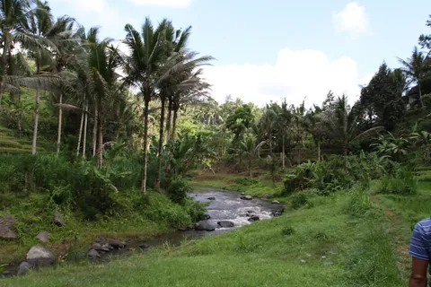 Sayan River View