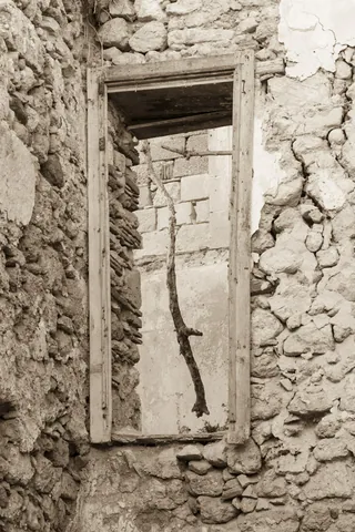 Abandoned Building and Branch, Ortigia, Syracuse