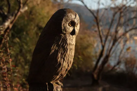 Wooden Owl in Hakone Detached Palace Garden