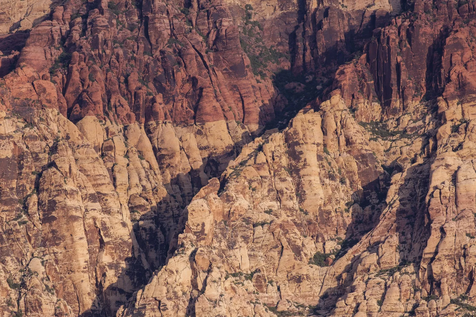 Red Rocks Canyon